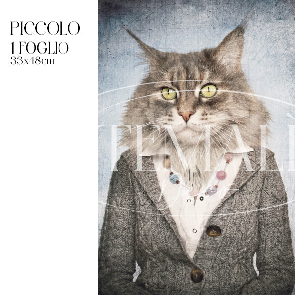 Immagine prodotto 3
